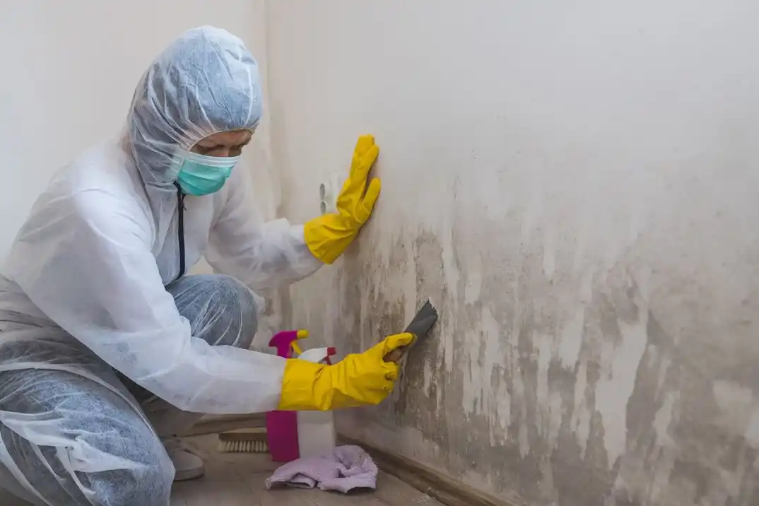 water damage restoration service Hannover